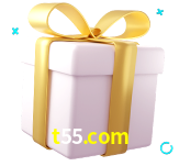 Receba seus bônus de boas-vindas no t55.com
